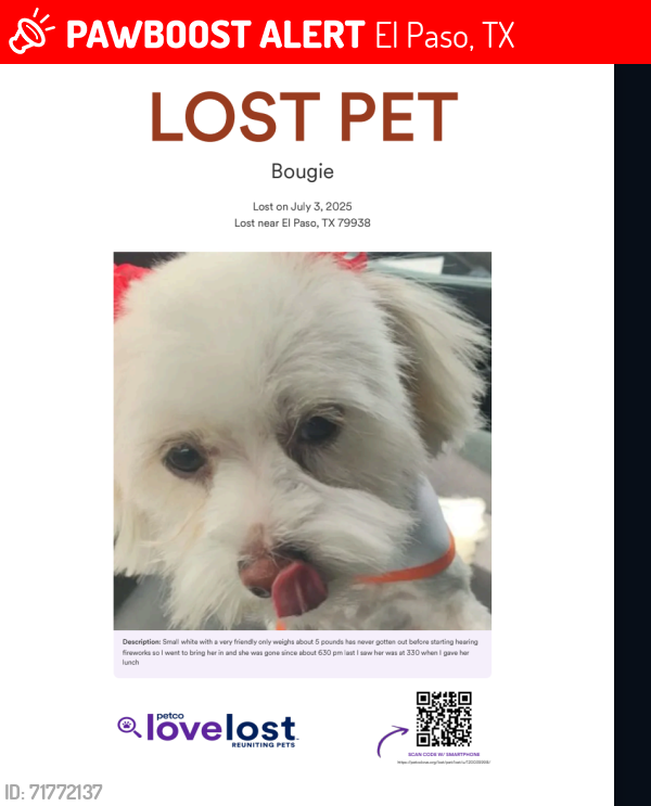Lost Female Dog last seen Pebble Hill and Rich beam, El Paso, TX 79938