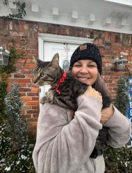 Lost Male Cat last seen Lagoon Park Dr, Montgomery, AL 36109