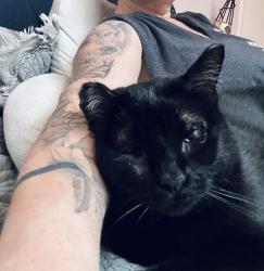 Lost Female Cat last seen Linwood Terrace, Carpenter Rd, Glenn, Curie Cranbury Cross Road, North Brunswick Township, NJ 08902