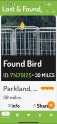 Lost Male Bird last seen Somebody have my bird i dont know how to find you please text me to , Parkland, FL 33067