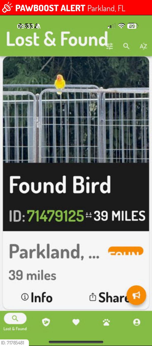 Lost Male Bird last seen Somebody have my bird i dont know how to find you please text me to , Parkland, FL 33067