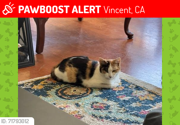 Lost Female Cat last seen N Morada Ave, Covina, CA 91722
