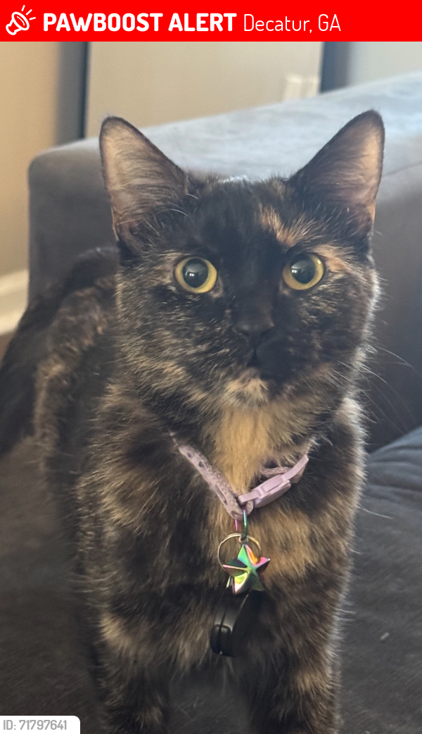 Lost Female Cat last seen Flat Shoals Road, Decatur, GA 30032