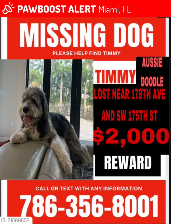 Lost Male Dog last seen Krome 33187, Miami, FL 33187