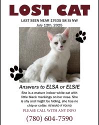 Lost Female Cat last seen McConachie, Edmonton, AB T5Y 0V2