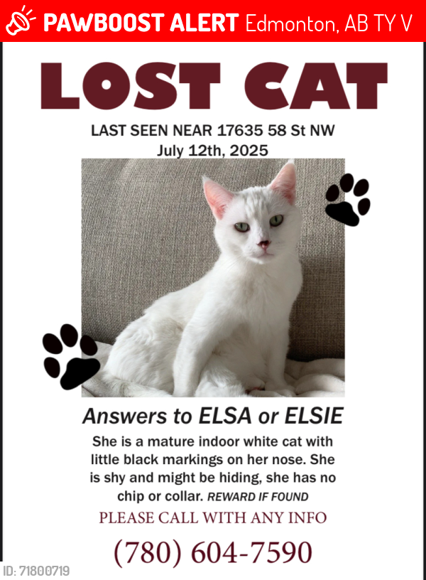 Lost Female Cat last seen McConachie, Edmonton, AB T5Y 0V2