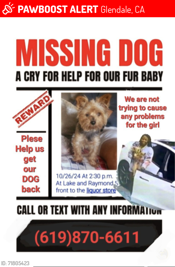 Lost Male Dog last seen Glendale Malll, Glendale, CA 91201
