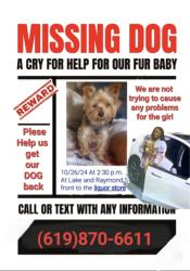 Lost Male Dog last seen Glendale Malll, Glendale, CA 91201