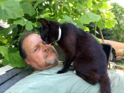 Lost Male Cat last seen Andrews Rd near Farmers Rd, Fayetteville, NC 28311