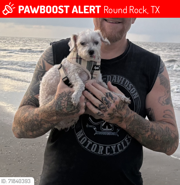 Lost Male Dog last seen Near Chad Drive, Round Rock, TX 78665