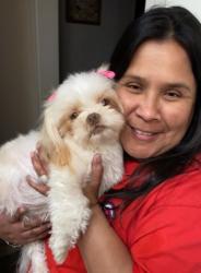Lost Female Dog last seen pleasant run/hunyers creek, DeSoto, TX 75115