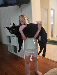 Lost Male Cat last seen Rockville Rd & Paseo Arboles, Fairfield, CA 94534