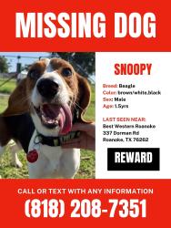 Lost Male Dog last seen Oak Street , Roanoke, TX 76262