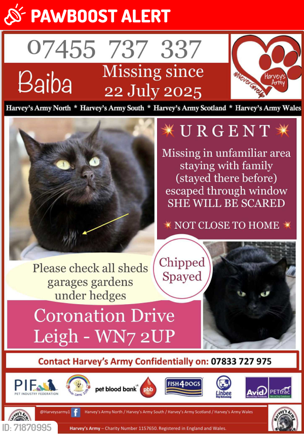 Lost Female Cat last seen Higher Folds, Higher Folds, England WN7 2XU