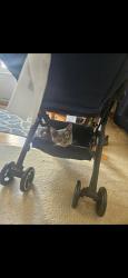 Lost Female Cat last seen Alley between locust and baer, Hanover, PA 17331