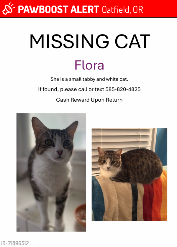 Lost Female Cat last seen Se 51st Ave , Oatfield, OR 97222