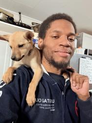 Lost Female Dog last seen Near W Fowler Ave, Killeen, TX 76541