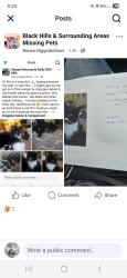 Lost Male Cat last seen Drag pipe saloon/ full throttle saloon , Vale, SD 57788