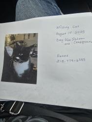 Lost Male Cat last seen Drag pipe saloon , Vale, SD 57788
