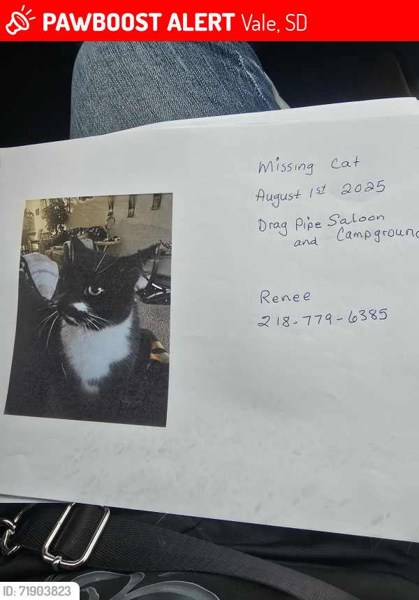 Lost Male Cat last seen Drag pipe saloon , Vale, SD 57788