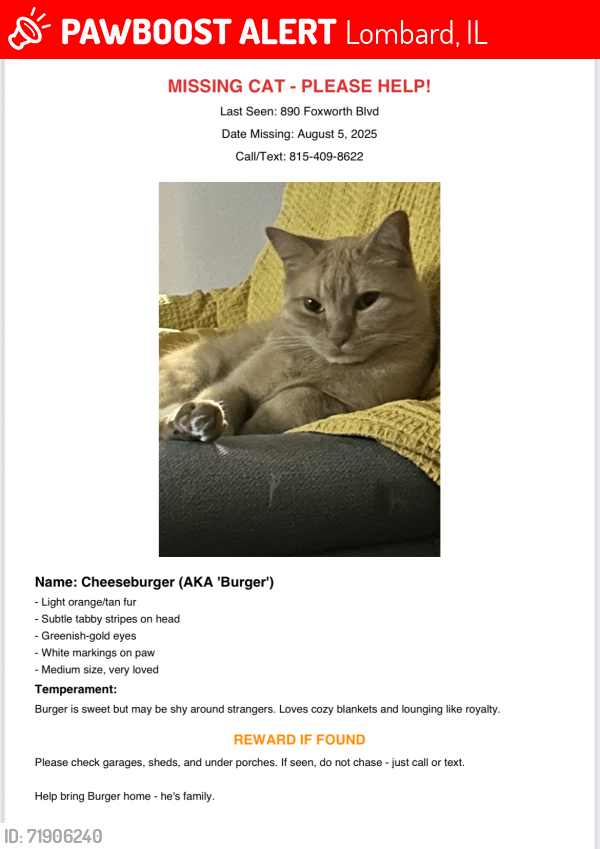Lost Male Cat last seen Near Foxworth Blvd, Lombard, IL 60148