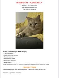 Lost Male Cat last seen Near Foxworth Blvd, Lombard, IL 60148