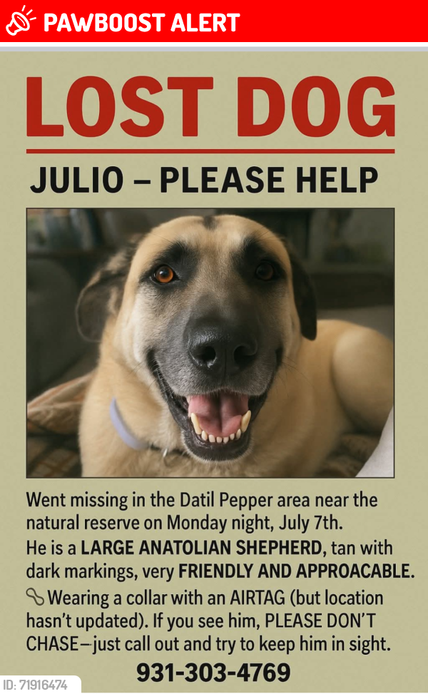 Lost Male Dog last seen Watson and Datil Pepper rd , St. Johns County, FL 32086