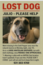 Lost Male Dog last seen Watson and Datil Pepper rd , St. Johns County, FL 32086