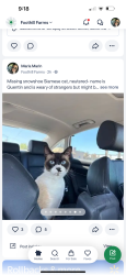 Lost Male Cat last seen W.t. Mason Park, Sacramento, CA 95842
