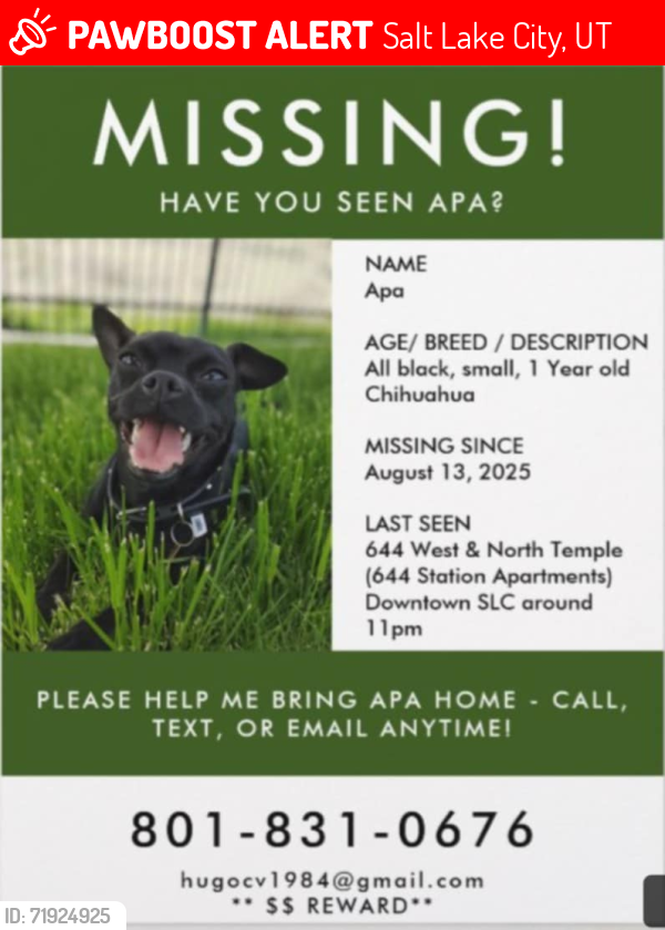 Lost Male Dog last seen North Temple , Salt Lake City, UT 84116