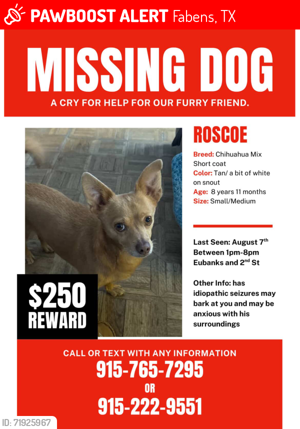 Lost Male Dog last seen Main St. 2nd St, Pops Better Burger, , Fabens, TX 79838