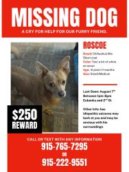 Lost Male Dog last seen Main St. 2nd St, Pops Better Burger, , Fabens, TX 79838