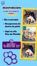 Lost Female Dog last seen Vila Elza, Vila Elsa, RS 