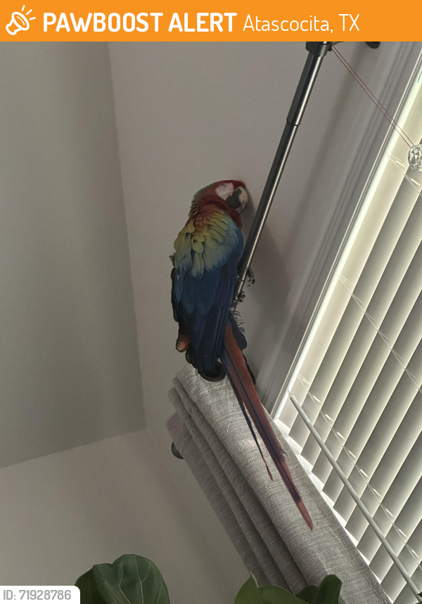 Found/Stray Unknown Other last seen Near Will Clayton Pkwy, Houston, TX 77044, Atascocita, TX 77346