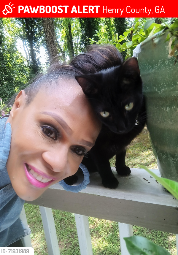 Lost Male Cat last seen Juliana Court , Henry County, GA 30294