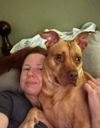 Lost Female Dog last seen Glenn and Alvernon she got out on N Haskell Dr, Tucson, AZ 85716