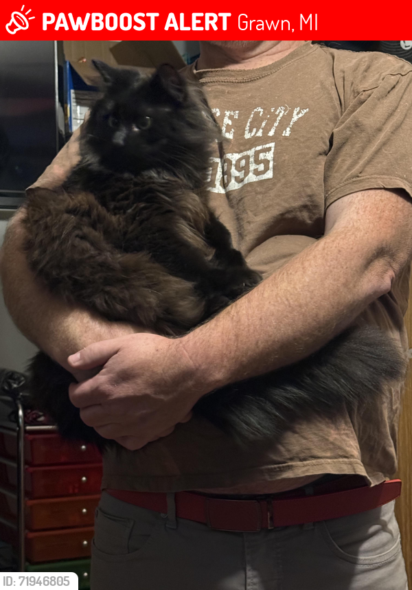 Lost Male Cat last seen Grawn 49637, Grawn, MI 49637