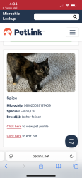 Lost Female Cat last seen 151st & Springmill/Ditch, Westfield, IN 46074