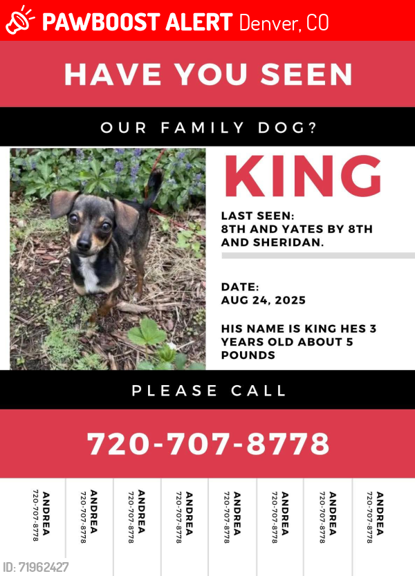 Lost Male Dog last seen 8th and Yates , Denver, CO 80204