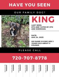 Lost Male Dog last seen 8th and Yates , Denver, CO 80204