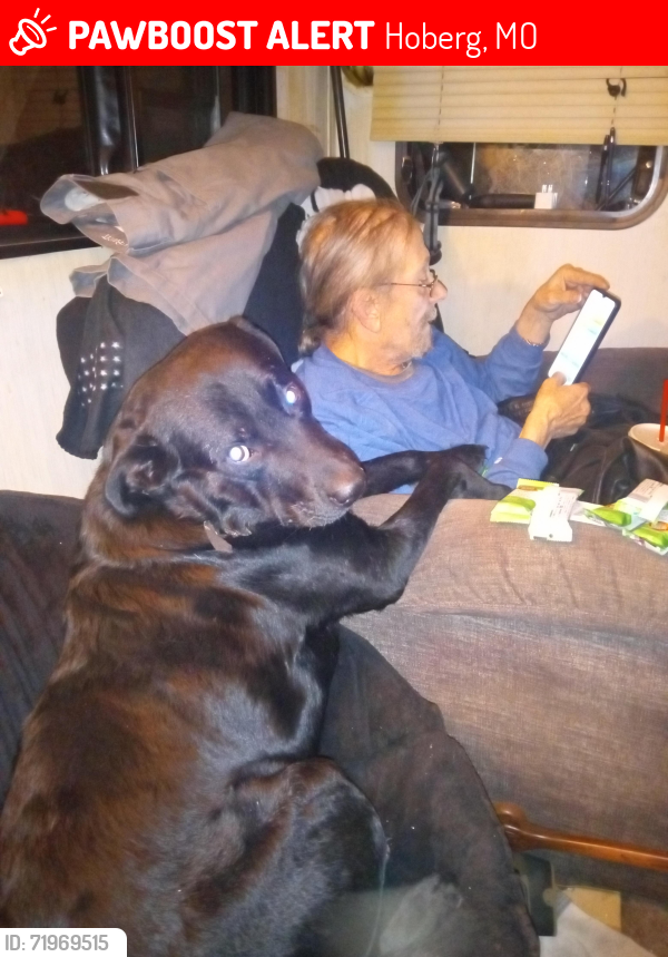 Lost Male Dog last seen The railroad tracks, Hoberg, MO 65712