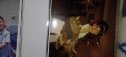 Lost Male Cat last seen 57th ave w 225 mountlake terrace, Mountlake Terrace, WA 98043