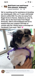 Lost Female Dog last seen REGAL CIRCLE HOOVER, ALABAMA 35216, Hoover, AL 35216