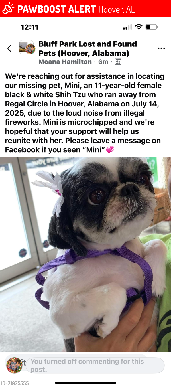 Lost Female Dog last seen REGAL CIRCLE HOOVER, ALABAMA 35216, Hoover, AL 35216