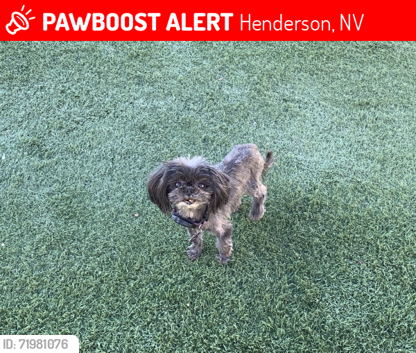 Lost Female Dog last seen Neighborhood SE of E Lake Mead Pkwy & E Athens Ave, Henderson, NV 89015