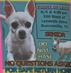 Lost Male Dog last seen Lakeside dr and middle rd, Duncanville, TX 75116