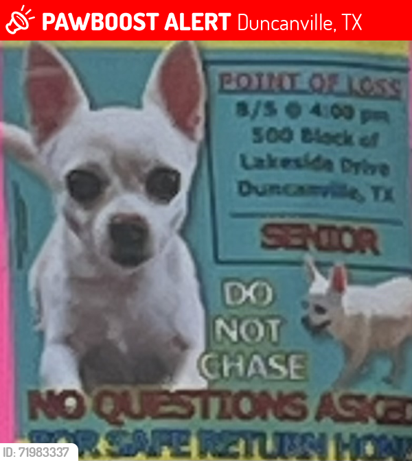 Lost Male Dog last seen Lakeside dr and middle rd, Duncanville, TX 75116
