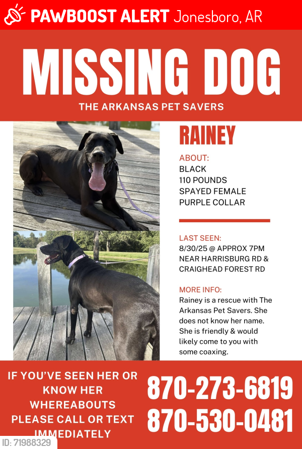 Lost Female Dog last seen Near Harrisburg Rd and Craighead Forest Rd, Jonesboro, AR 72404