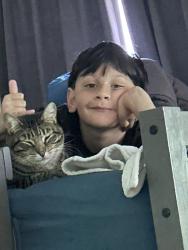 Lost Male Cat last seen Kunia Kokoloea , Wahiawa, HI 96786