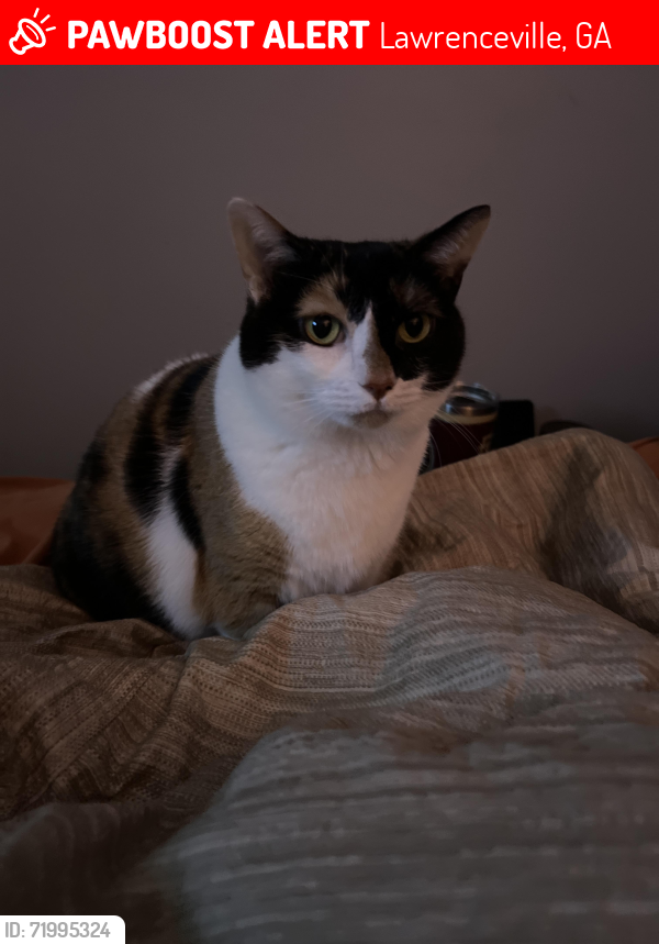Lost Female Cat last seen Rock hse Road E & Rock hse Road SE, Lawrenceville, GA 30045